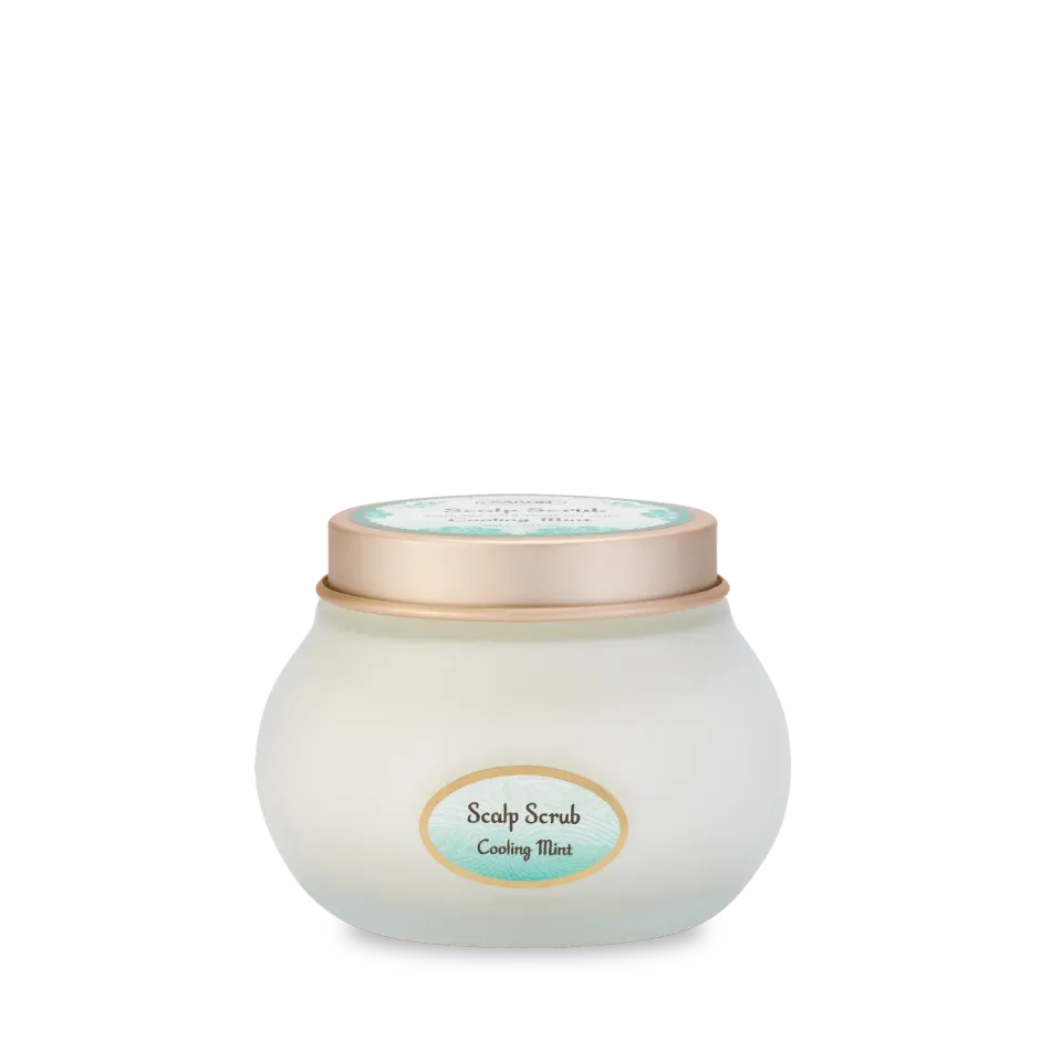 Sabon Menthe Rafraîchissante gommage cheveux 300g purifiant