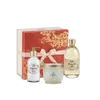 Sabon Rituel Corps White Tea coffret gommage huile crème