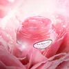 Sabon Rose Water Gel visage 80ml hydratant